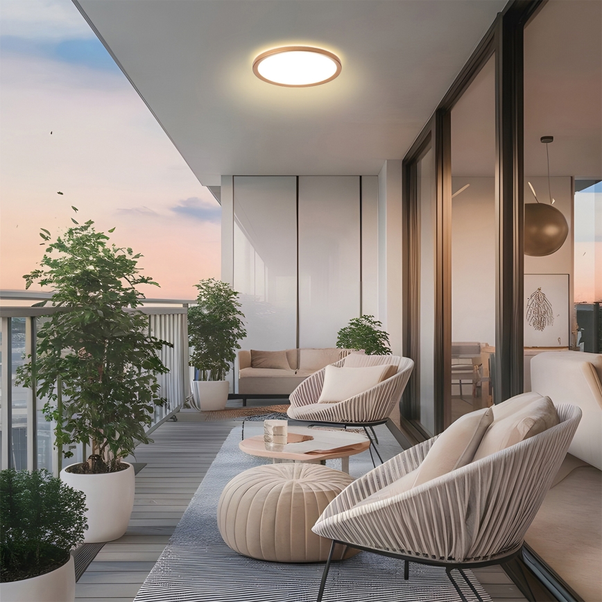 Brilagi - LED kúpeľňové stropné svietidlo ULTRA SLIM LED/12W/230V pr.22,5 cm ružové zlato IP54