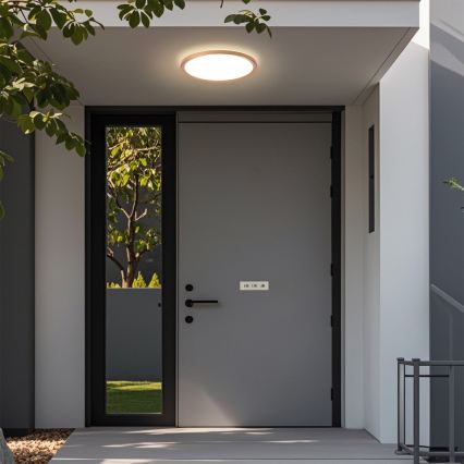 Brilagi - LED kúpeľňové stropné svietidlo ULTRA SLIM LED/18W/230V pr. 30 cm ružovo-zlaté IP54