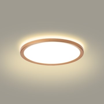 Brilagi - LED kúpeľňové stropné svietidlo ULTRA SLIM LED/18W/230V pr. 30 cm ružovo-zlaté IP54