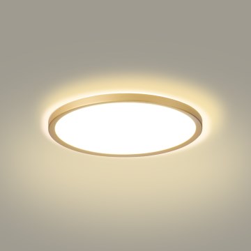 Brilagi - LED Kúpeľňové stropné svietidlo ULTRA SLIM LED/18W/230V priem. 30 cm zlaté IP54