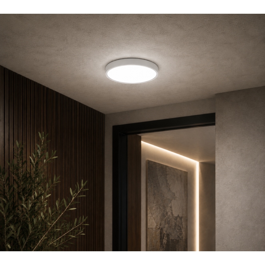 BRILAGI - LED kúpeľňové stropné svietidlo ZENNA LED/12W/230V priemer 25 cm IP44 biele