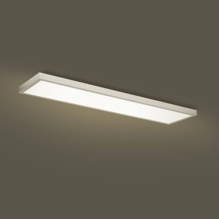 Brilagi - LED kúpeľňové stropné svietidlo FRAME LED/50W/230V 3000/4000/6000K 120x30 cm IP44 strieborné