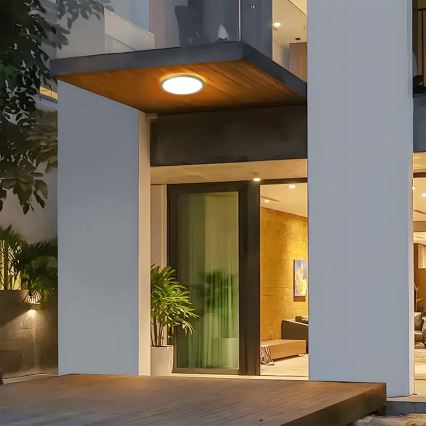 Brilagi - LED kúpeľňové stropné svietidlo ULTRA SLIM LED/12W/230V Ø 22,5 cm zlaté IP54