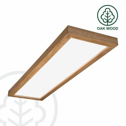 Brilagi - LED Kúpeľňové stropné svietidlo WOODY FRAME LED/40W/230V 120x30 cm IP44 dub