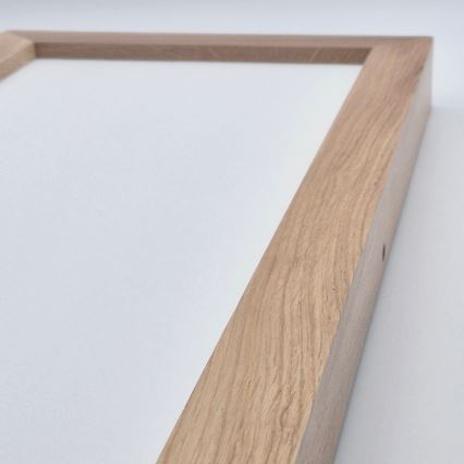 Brilagi - LED Kúpeľňové stropné svietidlo WOODY FRAME LED/40W/230V 120x30 cm IP44 dub