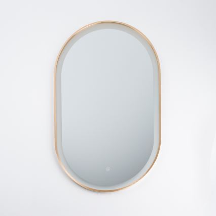 Brilagi - LED Kúpeľňové zrkadlo ERBA LED/25W/230V 50x80 cm zlaté IP44 CRI 90 stmievateľné + CCT