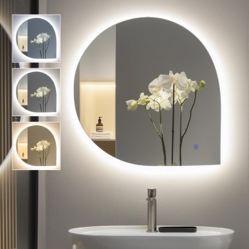 Brilagi - LED Kúpeľňové zrkadlo RICADI LED/19W/230V 60x60 cm IP44 CRI 90 stmievateľné + CCT