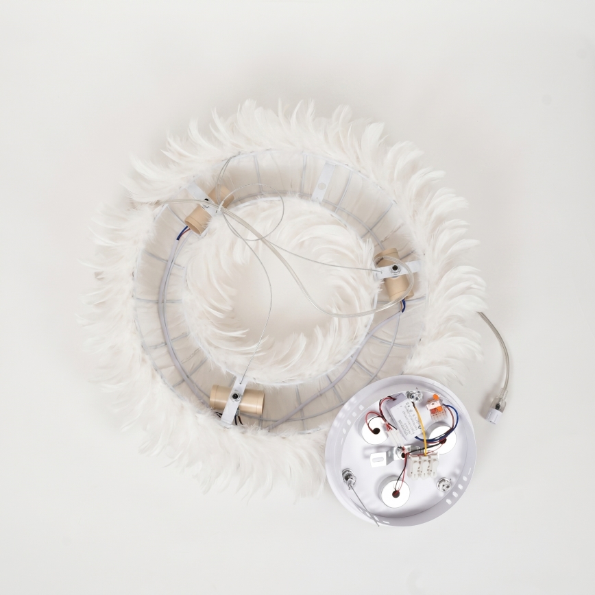 BRILAGI - LED luster na lanku FEATHER 3xE27/40W/230V + 3xLED/3W pr. 50 cm biela