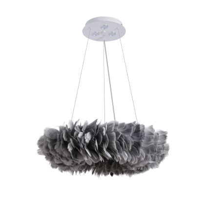 Brilagi - LED luster na lanku FEATHER 3xE27/40W/230V + 3xLED/3W pr. 50 cm šedý