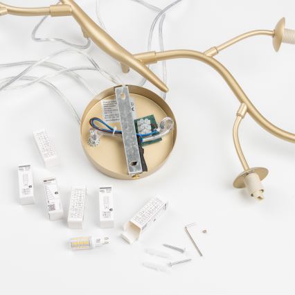 Brilagi - LED Luster na lanku MISTEL 6xG9/3W/230V zlatá