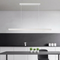 Brilagi - LED luster na lanku PAXIS LED/30W/230V 120 cm biela
