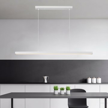 Brilagi - LED luster na lanku PAXIS LED/30W/230V 120 cm biela