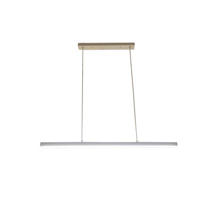 Brilagi - LED luster na lanku PAXIS LED/30W/230V 120 cm biely