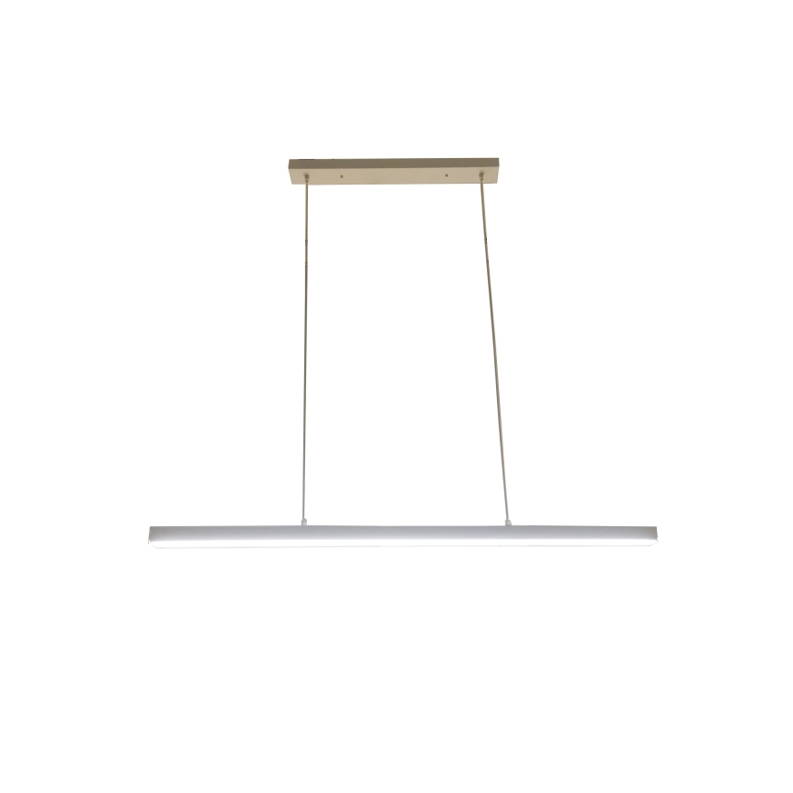 Brilagi - LED luster na lanku PAXIS LED/30W/230V 120 cm biely