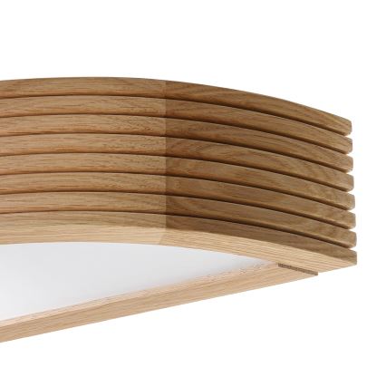 Brilagi - LED nástenné svietidlo CARVALHO MODERN 1xE27/60W/230V dub