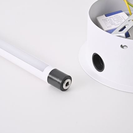 Brilagi - LED Nástenné svietidlo LUGO TRE LED/14W/230V biela