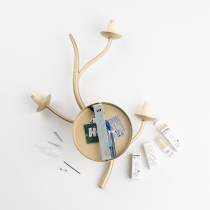 Brilagi - LED Nástenné svietidlo MISTEL 3xG9/3W/230V zlatá