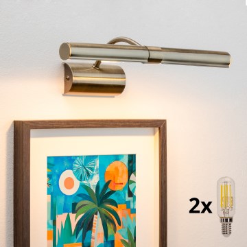 Brilagi - LED Obrazové svietidlo DANAE 2xE14/4W/230V 3000K bronzová