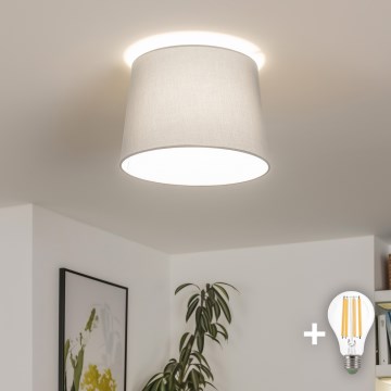 Brilagi - LED prisadený luster CERIA 1xE27/40W/230V pr. 30 cm sivý