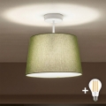 Brilagi - LED prisadený luster CERIA 1xE27/60W/230V pr. 30 cm biela/zelená