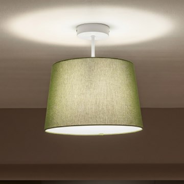 Brilagi - LED prisadený luster CERIA 1xE27/60W/230V pr. 30 cm biela/zelená