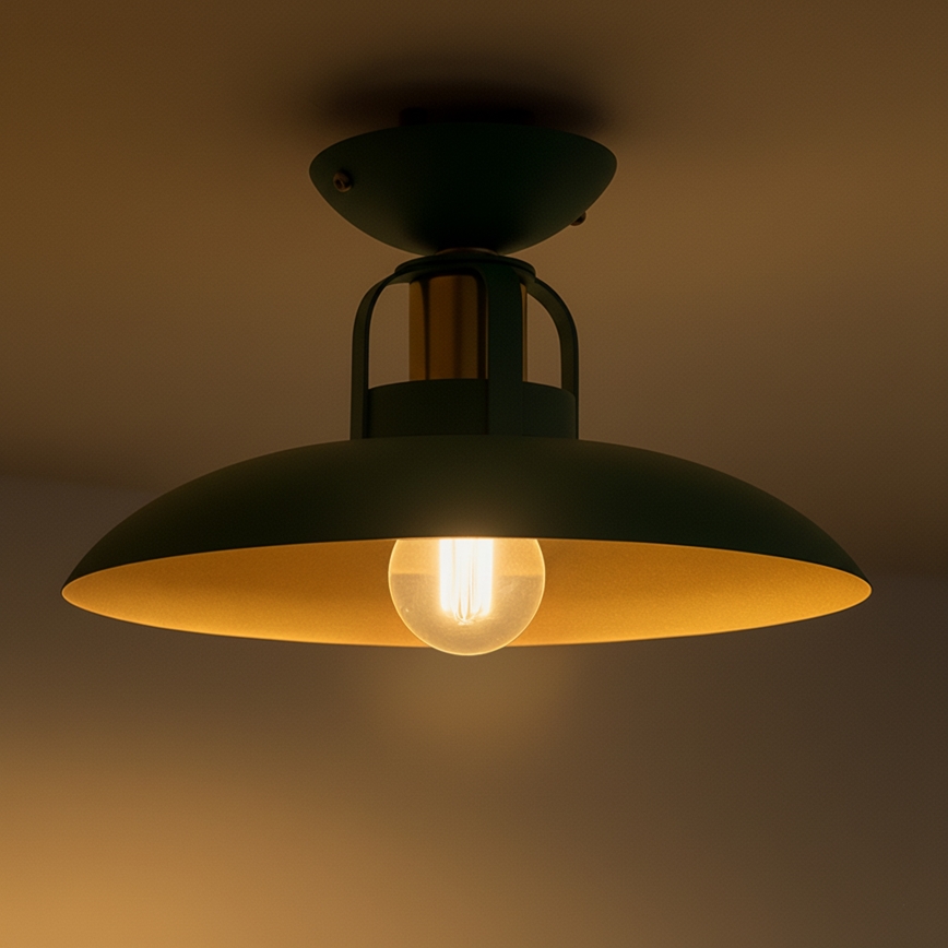 Brilagi - LED Prisadený luster FLAMENGO 1xE27/60W/230V zelená