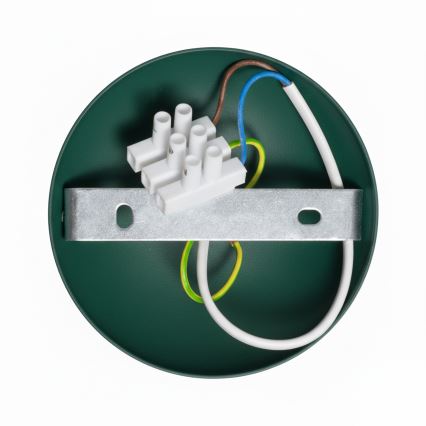 Brilagi - LED Prisadený luster FLAMENGO 1xE27/60W/230V zelená