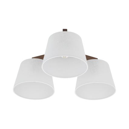 BRILAGI - LED Prisadený luster LATTE 3xE27/15W/230V borovica/biela