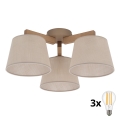 BRILAGI - LED Prisadený luster LATTE SABIA 3xE27/15W/230V borovica/béžová
