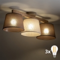BRILAGI - LED Prisadený luster LATTE SABIA 3xE27/15W/230V borovica/mix