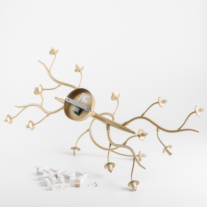 Brilagi - LED Prisadený luster MISTEL 15xG9/3W/230V zlatá/biela