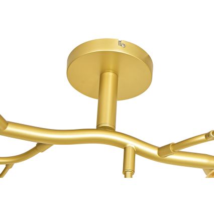Brilagi - LED Prisadený luster MISTEL 15xG9/3W/230V zlatá