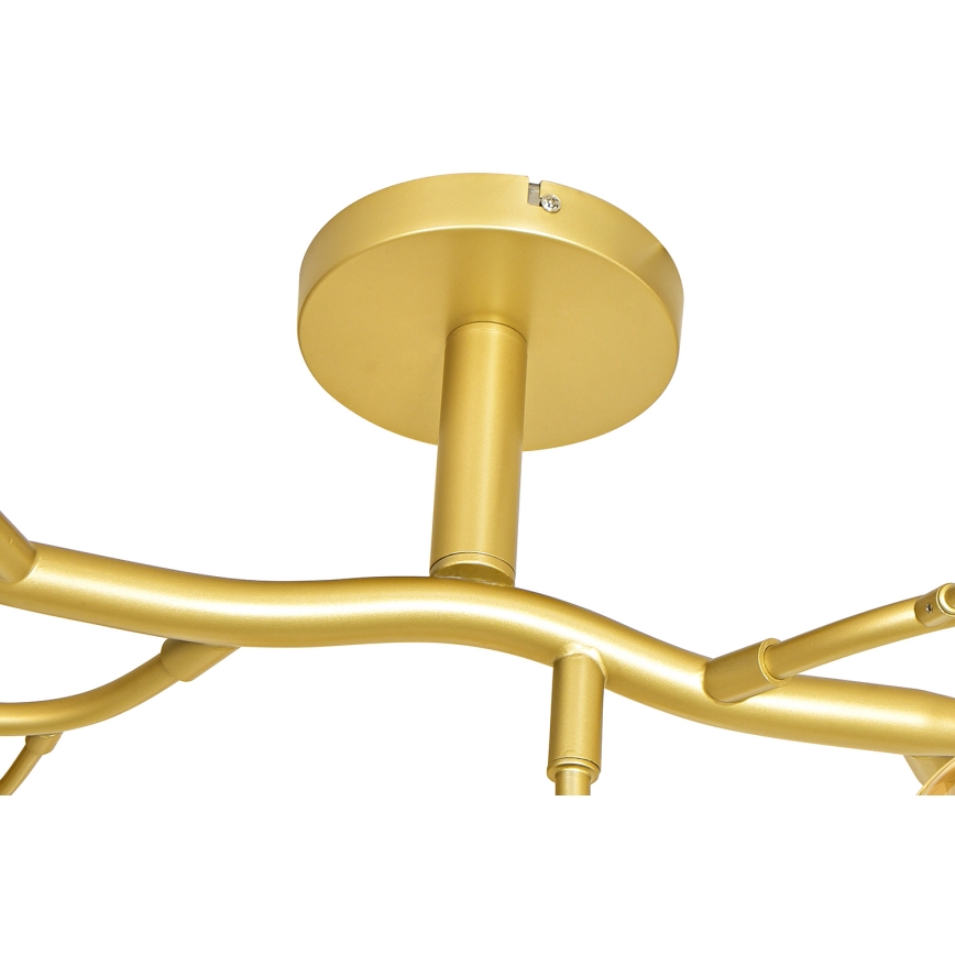 Brilagi - LED Prisadený luster MISTEL 15xG9/3W/230V zlatá
