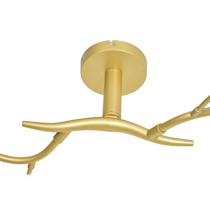 Brilagi - LED Prisadený luster MISTEL 6xG9/3W/230V zlatá/biela