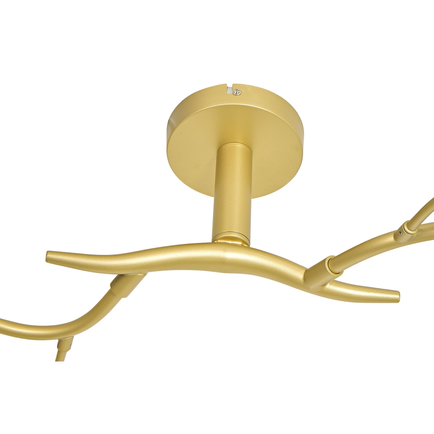 Brilagi - LED Prisadený luster MISTEL 6xG9/3W/230V zlatá/biela