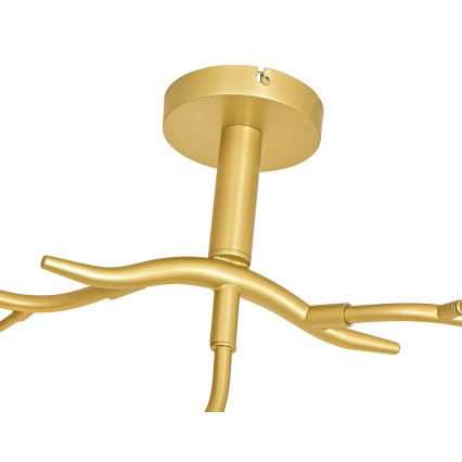 Brilagi - LED Prisadený luster MISTEL 9xG9/3W/230V zlatá/biela