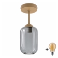 BRILAGI - LED prisadený luster RETRO GLASS 1xE27/60W/230V pr. 14 cm béžová/dymová sivá
