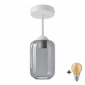 BRILAGI - LED Prisadený luster RETRO GLASS 1xE27/60W/230V pr. 14 cm biela/dymová sivá