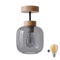 BRILAGI - LED Prisadený luster RETRO GLASS 1xE27/60W/230V pr. 14 cm dub/dymová sivá