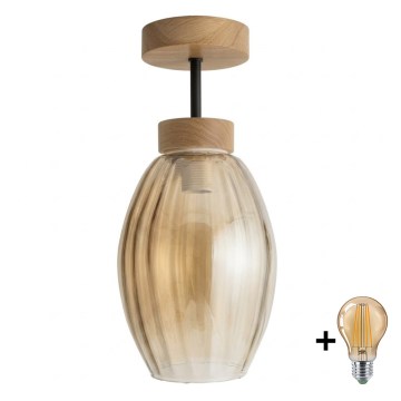 BRILAGI - LED Prisadený luster RETRO GLASS 1xE27/60W/230V pr. 17 cm dub/dymová béžová