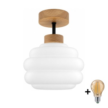 BRILAGI - LED Prisadený luster RETRO GLASS 1xE27/60W/230V pr. 20 cm dub/biela
