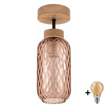 BRILAGI - LED Prisadený luster RETRO GLASS 1xE27/60W/230V priemer 14 cm dub/dymová hnedá