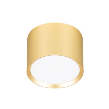 Brilagi - LED RGB+CCT Stmievateľné bodové svietidlo SMOOTH 1xGX53/14W/230V 2700-6500K Wi-Fi Tuya zlaté