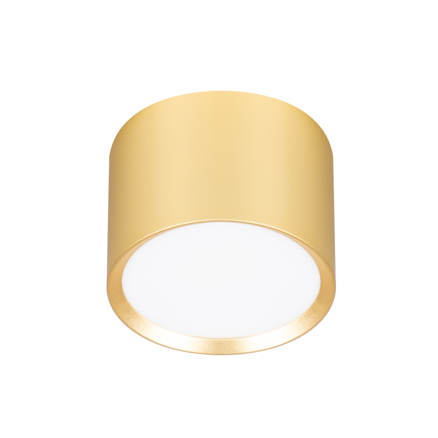 Brilagi - LED RGB+CCT Stmievateľné bodové svietidlo SMOOTH 1xGX53/14W/230V 2700-6500K Wi-Fi Tuya zlaté
