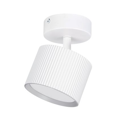 Brilagi - LED RGB+CCT stmievateľné bodové svietidlo STRIPY 1xGX53/14W/230V 2700-6500K Wi-Fi Tuya biela