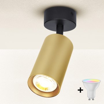 Brilagi - LED RGBW stmievateľné bodové svietidlo SELE GOLDEN 1xGU10/6W/230V 3000K čierna/zlatá