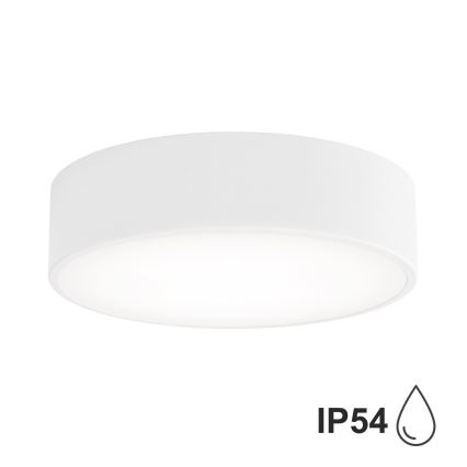 BRILAGI - LED RGBW stmievateľné kúpeľňové stropné svietidlo CLARE 2xE27/12W/230V 2700-6500K priemer 30 cm IP54 biele