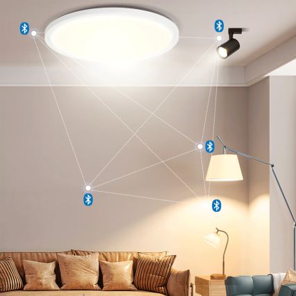 Brilagi - LED RGBW stmievateľné stropné svietidlo VIBE LED/24W/230V 3000-6500K priemer 26 cm biela + diaľkové ovládanie