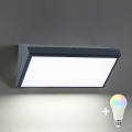 BRILAGI - LED RGBW stmievateľné vonkajšie nástenné svietidlo TRIANGLE 1xE27/12W/230V 2700-6500K IP65 antracit