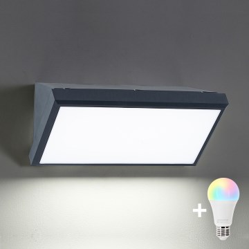 BRILAGI - LED RGBW stmievateľné vonkajšie nástenné svietidlo TRIANGLE 1xE27/12W/230V 2700-6500K IP65 antracit